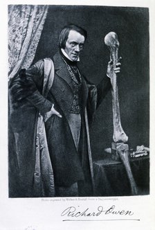 Richard Owen (1804-1892), English zoologist and anatomical, curator of the Royal College of Surge…