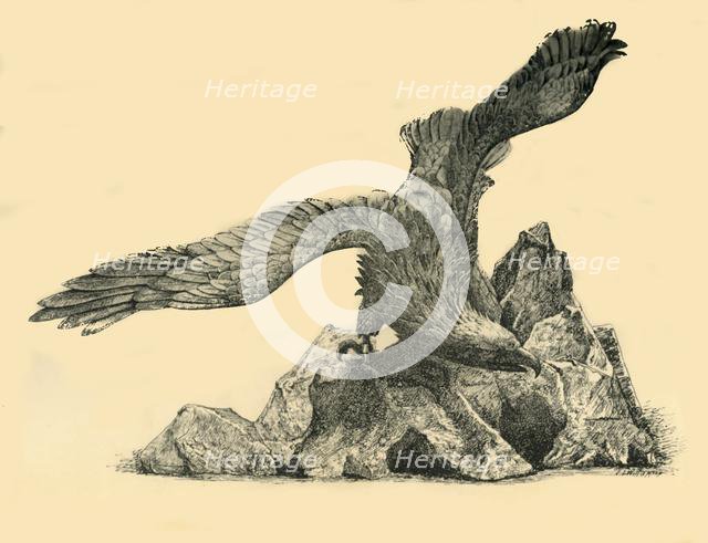 Incense burner in the form of an eagle, c1860, (1881).  Creator: J. I. Williamson.