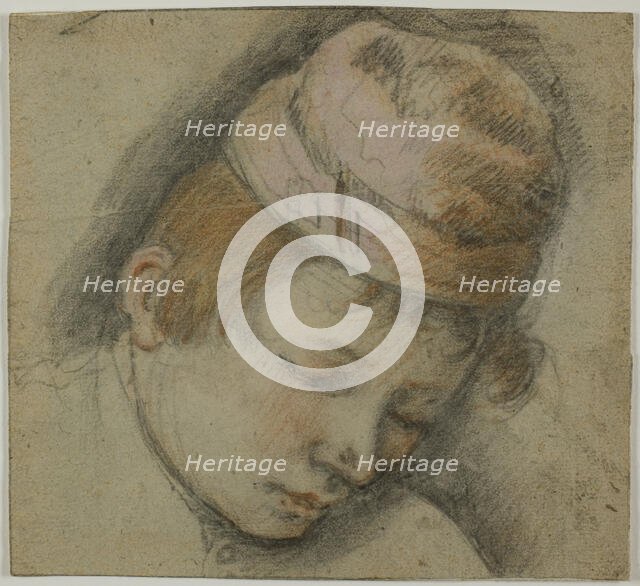 Head of Youth in a Pink Cap, n.d. Creator: Unknown.