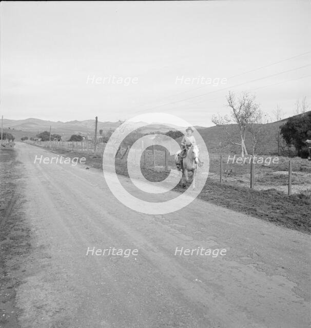 Cowboy coming in from the hills, San Luis Obispo County, California, 1939. Creator: Dorothea Lange.