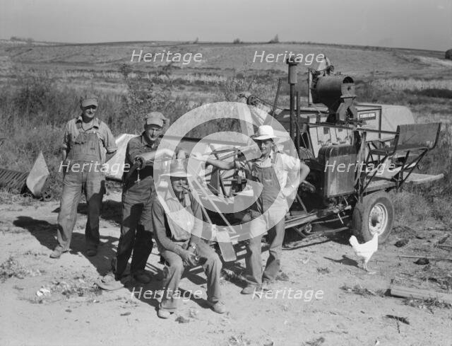Stephen brothers, Joe, Jim, Eugene, Fred, Nyssa Heights district, Malheur County, Oregon, 1939. Creator: Dorothea Lange.
