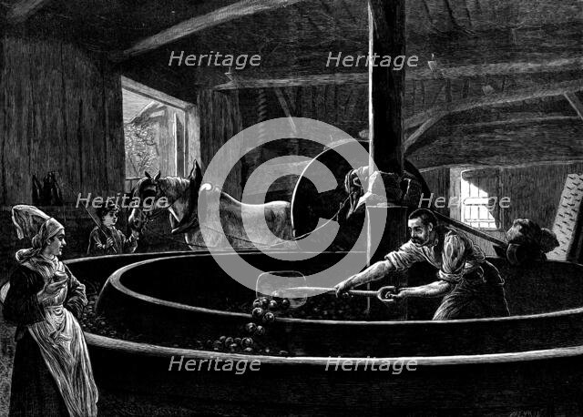 Cider-making in Normandy, 1873. Creator: Jenkin.