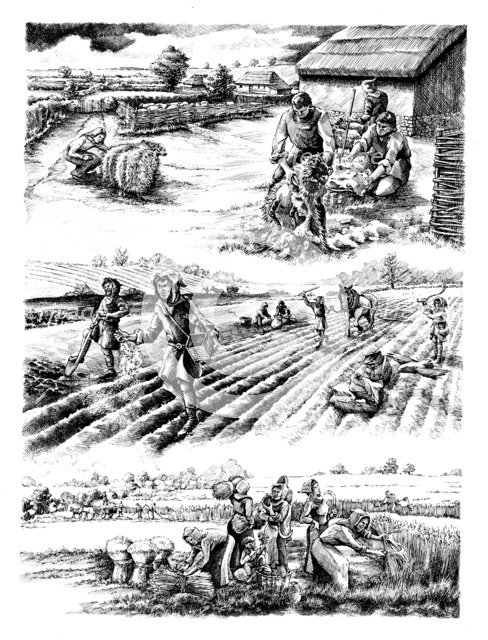 Medieval farming, c5th-15th century, (c1980-2010) Artist: Peter Dunn.