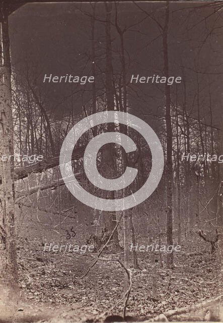 The Wilderness Battlefield, 1864. Creator: Unknown.
