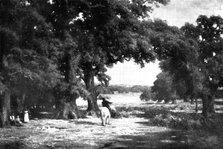 Pictures from the Royal Academy: Through The Forest - C. E. Johnson, 1898. Creator: Unknown.