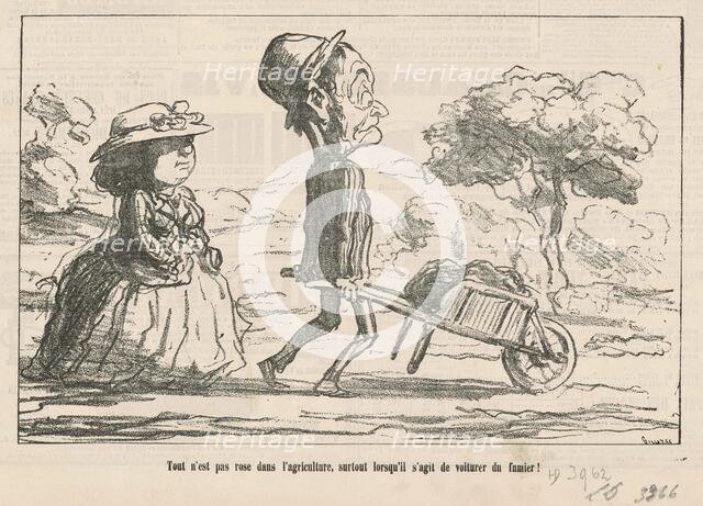 Tout n'est pas rose dans l'agriculture ..., 19th century. Creator: Honore Daumier.