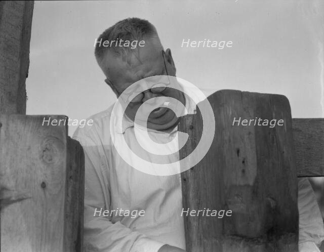 Henry Lotz closing the gate to the barns at the Midway City Dairy Association, near Santa Ana, 1937. Creator: Dorothea Lange.