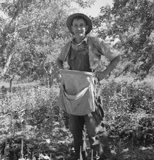 Fruit tramp, Yakima Valley, Wahington, 1939. Creator: Dorothea Lange.