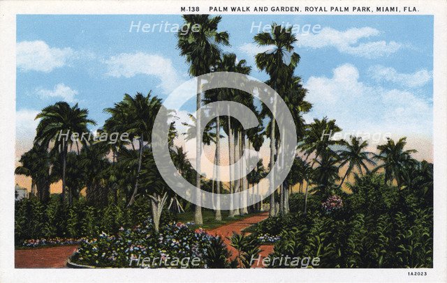 Palm Walk and garden, Royal Palm Park, Miami, Florida, USA, 1931. Artist: Unknown