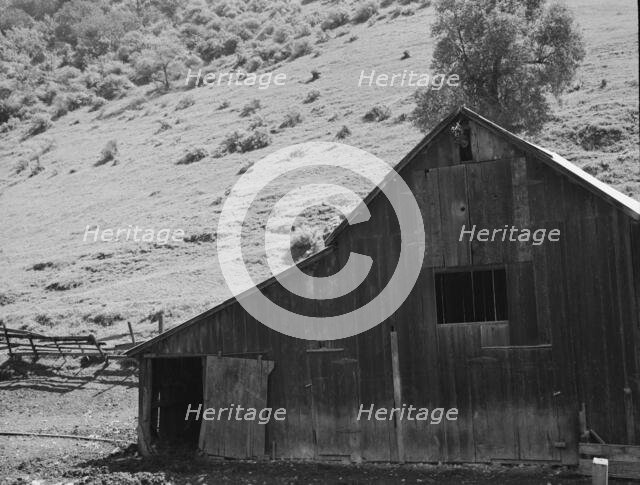 Barn in a valley back of Mission San Jose, Santa Clara County, California, 1939. Creator: Dorothea Lange.