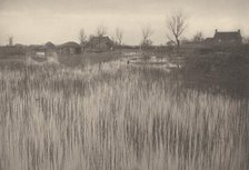 A Rushy Shore, 1886. Creator: Dr Peter Henry Emerson.