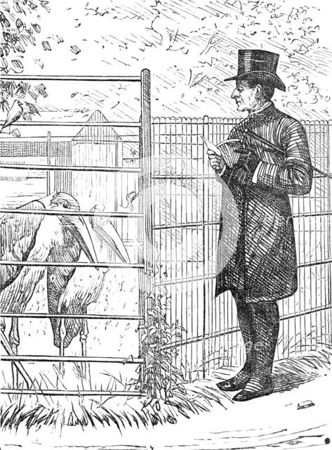 Sketch of a picture in the Royal Academy Exhibition: An Episcopal Visitation, H. S. Marks R.A., 1881 Creator: Unknown.