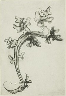 Leaf Ornament, n.d. Creator: Martin Schongauer.