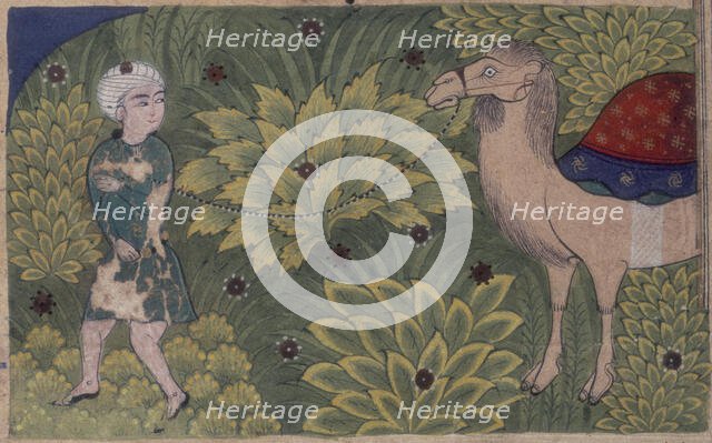 A man leading a camel, 16th century. Creator: Unknown.