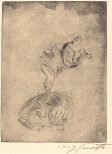 Katzenstudie (Study of Cats), 1920. Creator: Lovis Corinth.