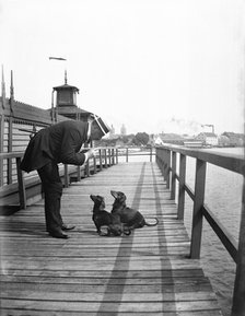 A man scolds his two dachshunds, Landskrona, Sweden, 1910. Artist: Unknown