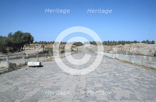 The Processional Way, Babylon, Iraq, 1977.