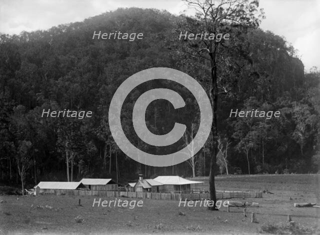 Robert Augustus Henry L'Estrange's "Homestead" Canungra, c1880s. Creator: Robert Augustus Henry L'Estrange.