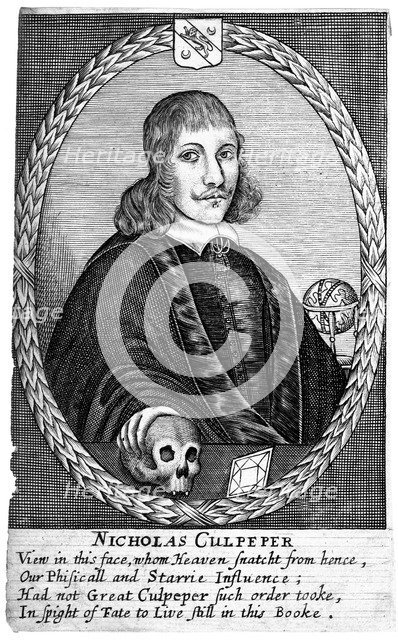 Nicholas Culpepper (1616-54). Artist: Unknown