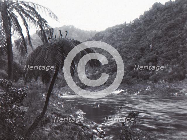 'Wanganui River', late 19th-early 20th century.  Creator: Unknown.