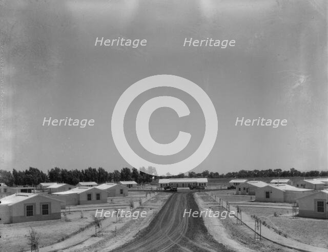 View of Resettlement Administration's part-time farms, Glendale, Arizona, 1937. Creator: Dorothea Lange.