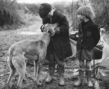 Gypsy boys with dog, Surrey, 1960s.