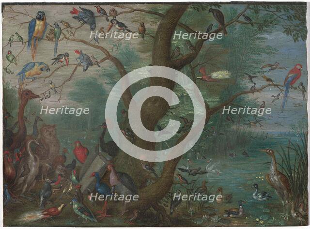 Concert of Birds, 1660/1670. Creator: Anon.