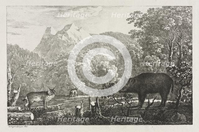 Wild Boar, Wildcat and Lynx, 1807. Creator: Maximilian Josef Wagenbauer (German, 1774-1829).