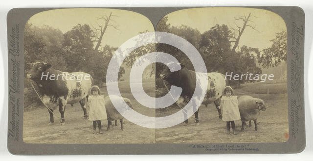 A little Child Shall Lead them!, 1901. Creator: Underwood & Underwood.