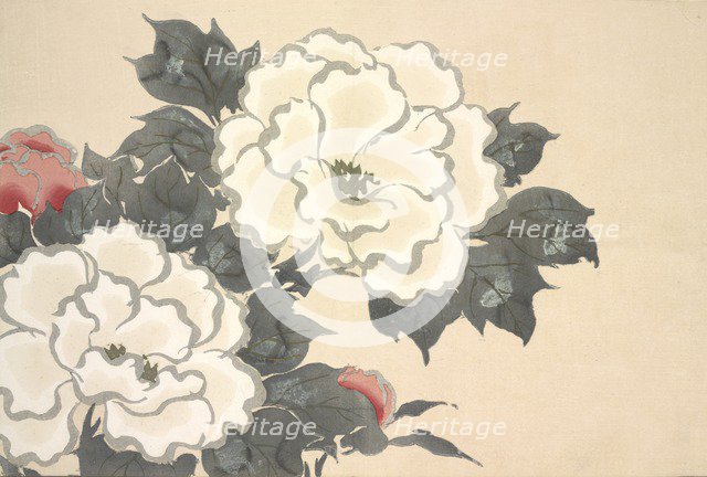 Fukami-Gusa, from Momoyo-gusa (The World of Things) Vol I, pub.1909 (colour block woodcut)