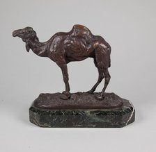 Camel, mid 19th century. Creator: Antoine-Louis Barye