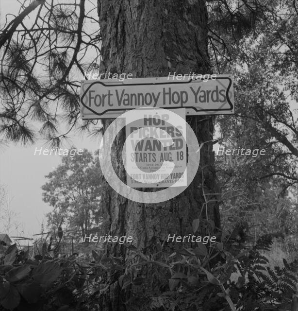 On road off main highway, leading to Roque River, near Grants Pass, Josephine County, Oregon, 1939. Creator: Dorothea Lange.