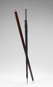 Cane, American or European, 1880-89. Creator: Unknown.