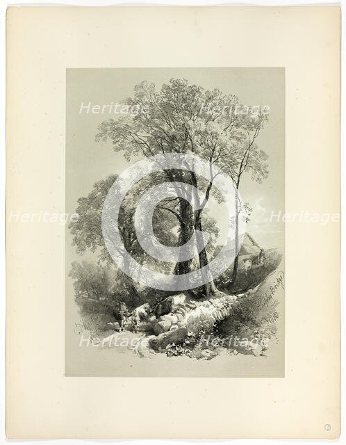 Shipley Bridge, Devon, from Picturesque Selections, 1859. Creator: James Duffield Harding.