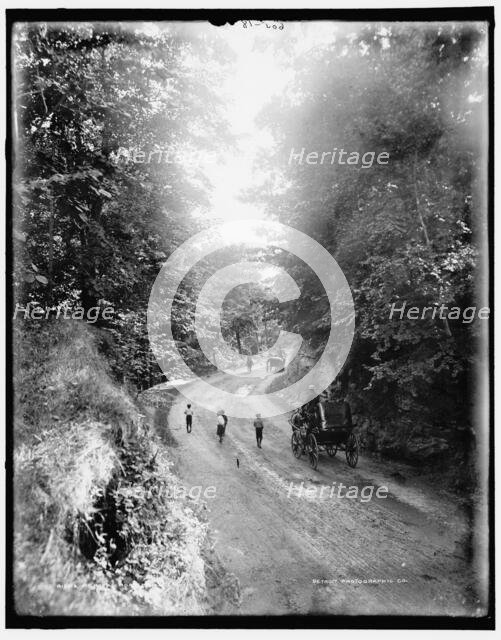 Mt. Royal Road, Montreal, between 1890 and 1901. Creator: William H. Jackson.
