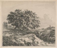 Le chêne au ravin (Oak Tree by a Ravine), 1845. Creator: Eugene Blery.
