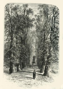 'Trinity College Avenue, Cambridge', c1870.