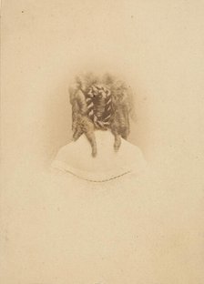 Sculptural Shoulders, 1861-67. Creator: Pierre-Louis Pierson.