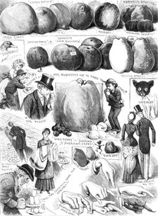 Sketches at the Apple Congress at Chiswick, 1883. Creator: Unknown.