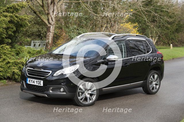 2014 Peugeot 2008 Hdi Feline Artist: Unknown.