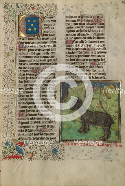 Bear; Livre de la Chasse, about 1430-1440. Creator: Unknown.