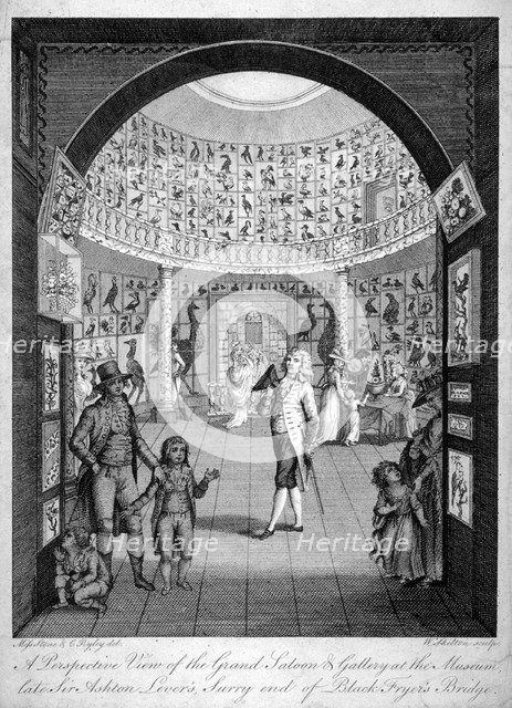 Interior view of the Leverian Museum, Albion Place, Southwark, London, c1795.                      Artist: William Skelton
