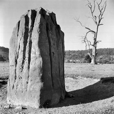 Standing stone in the Wye Valley, Wales, 1945-1980. Artist: Eric de Maré
