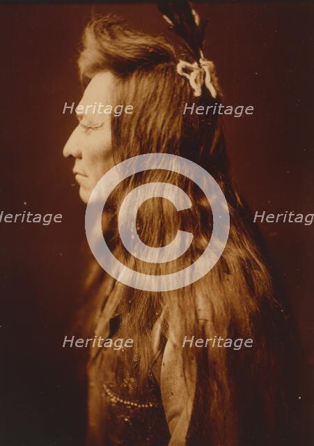 Black Eagle-profile, c1905. Creator: Edward Sheriff Curtis.
