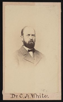 Portrait of Charles Abiathar White (1826-1910), 1868. Creator: Isaac Augustus Wetherby.