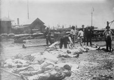 Gathering dead, Vera Cruz, 1914. Creator: Bain News Service.