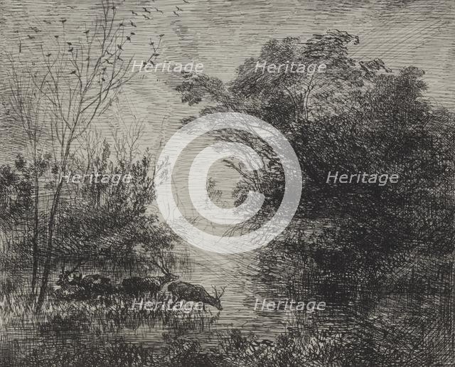 Stags, original impression 1862, printed in 1921. Creator: Charles François Daubigny (French, 1817-1878).