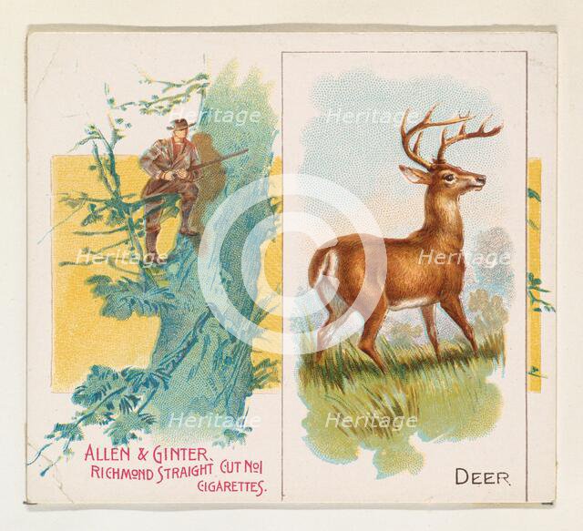 Deer, from Quadrupeds series (N41) for Allen & Ginter Cigarettes, 1890. Creator: Allen & Ginter.