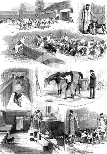 The Royal Buckhounds: sketches of the kennels at Ascot, 1880. Creator: Unknown.