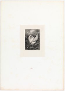Rescue. (Opus VI, Plate 6 from Paraphrase on the Finding of a Glove), 1881.